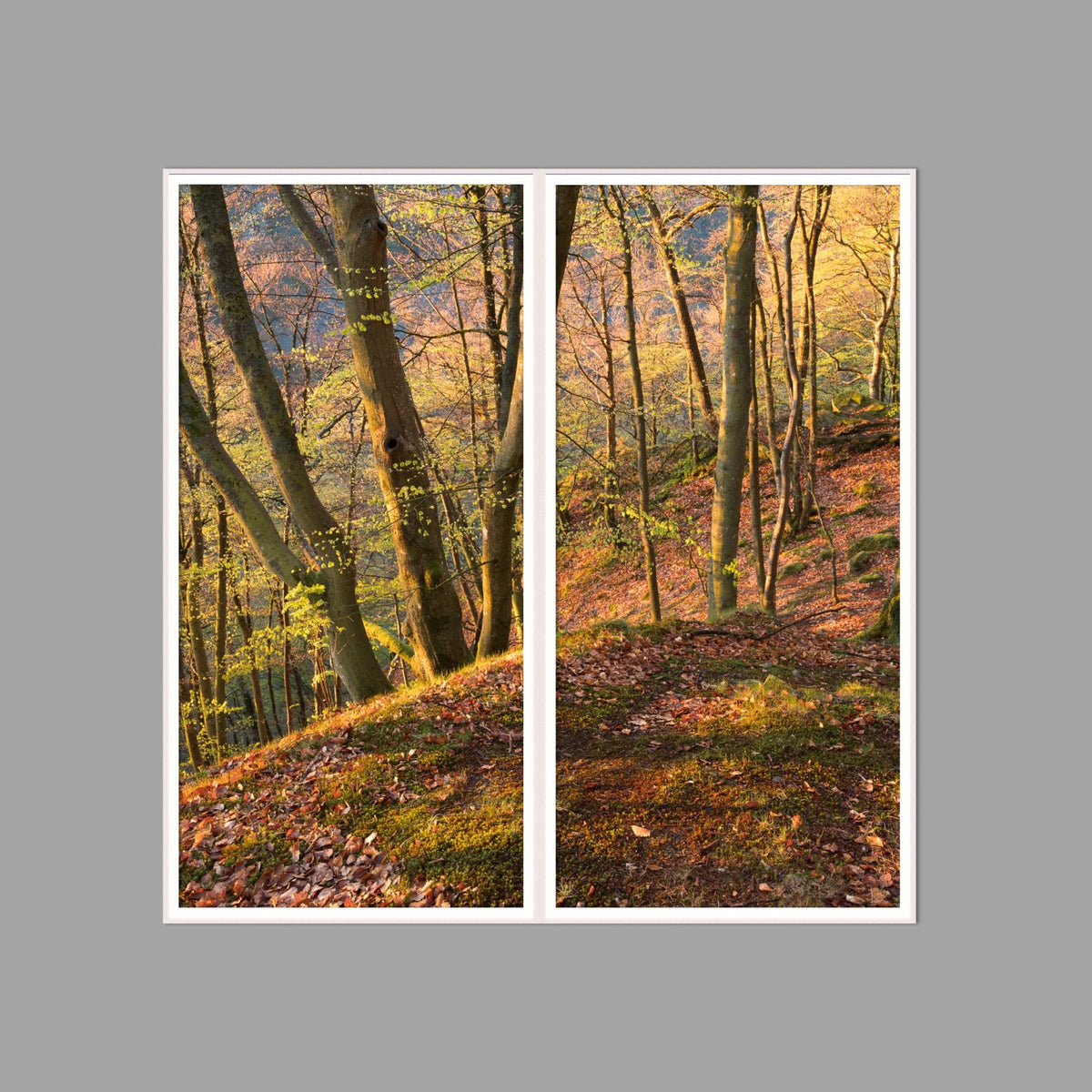 LED-Wandbild Zweiteiler hochkant 120x120 cm – Herbst