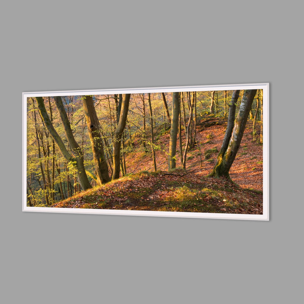 LED-Wandbild 60x120 cm quer – Herbst