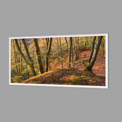 LED-Wandbild 60x120 cm quer – Herbst