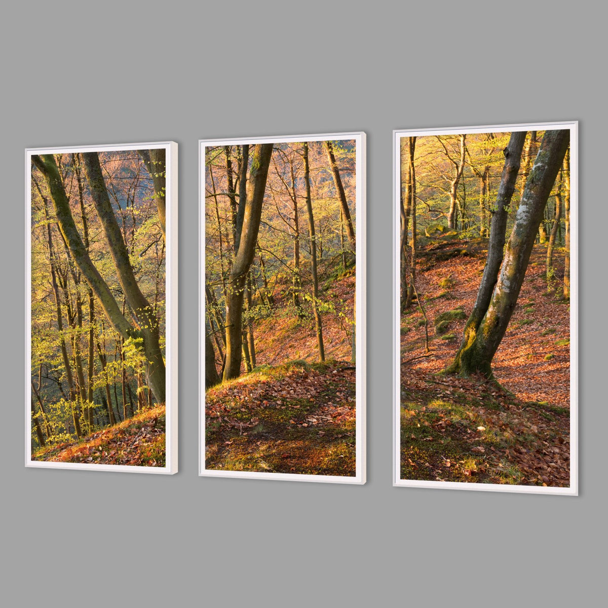 LED-Wandbild Dreiteiler hochkant mit Abstand – Herbst