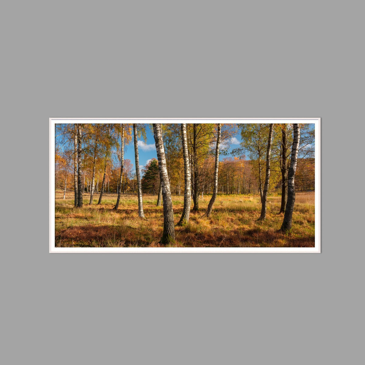 LED-Wandbild 60x120 cm quer – Herbst