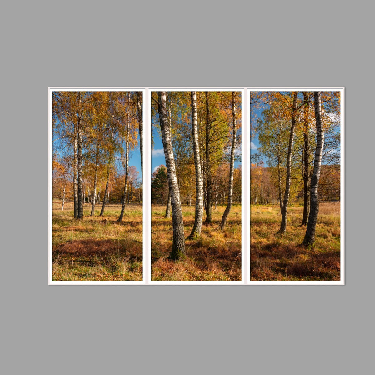 LED-Wandbild Dreiteiler hochkant 180x120 cm – Herbst