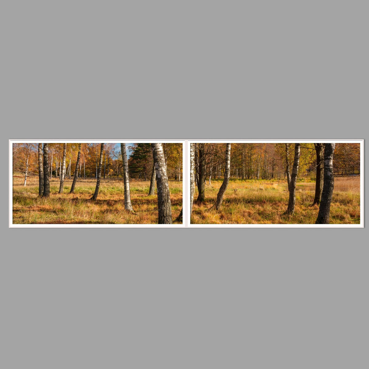 LED-Wandbild Zweiteiler quer 240x60 cm – Herbst