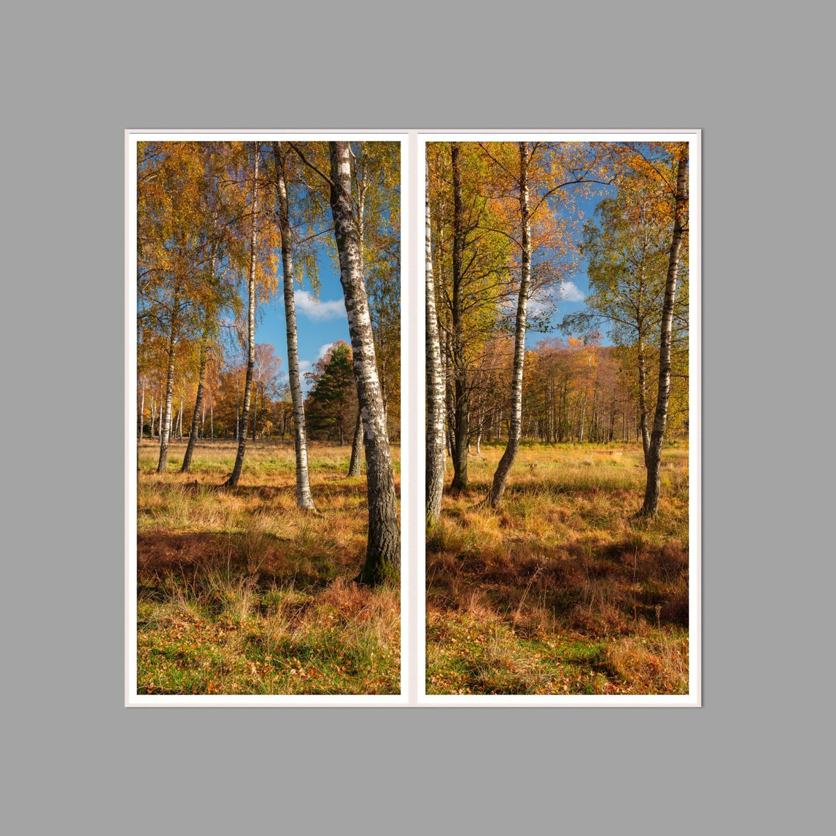 LED-Wandbild Zweiteiler hochkant 120x120 cm – Herbst