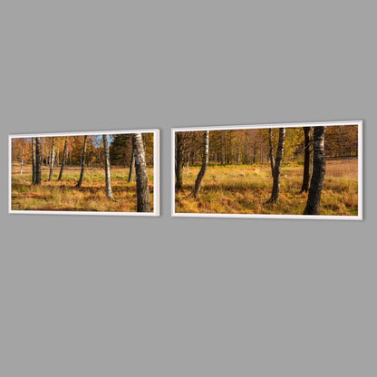 LED-Wandbild Zweiteiler quer mit Abstand – Herbst