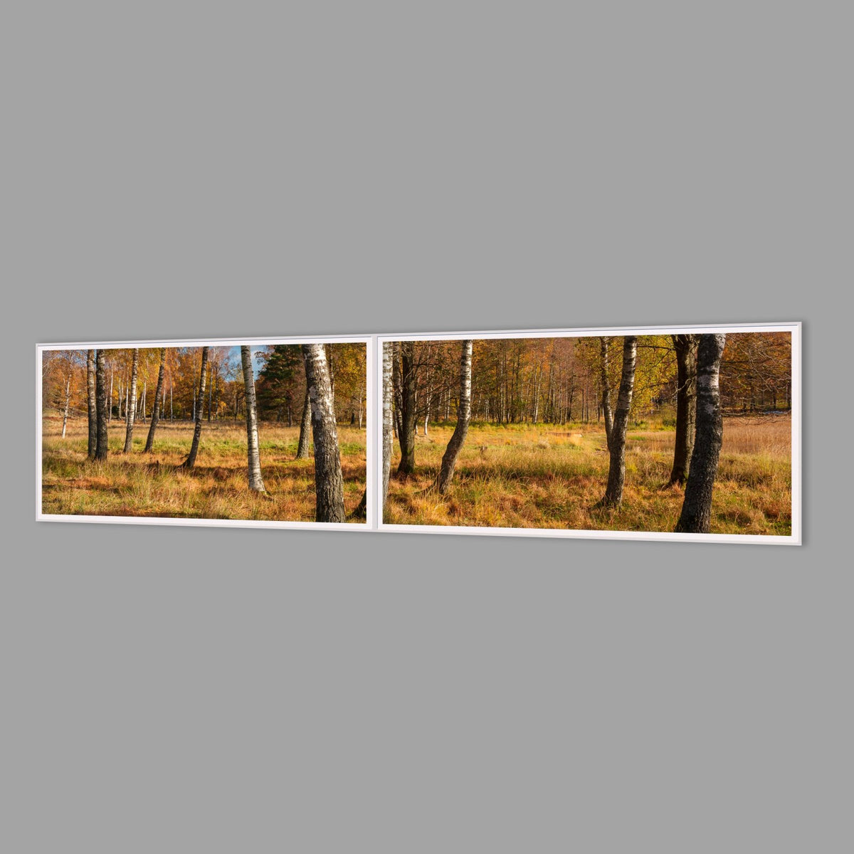 LED-Wandbild Zweiteiler quer 240x60 cm – Herbst