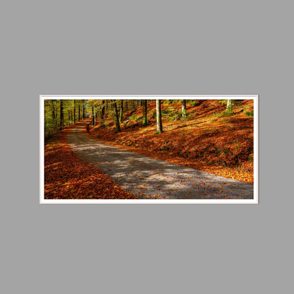 LED-Wandbild 60x120 cm quer – Herbst
