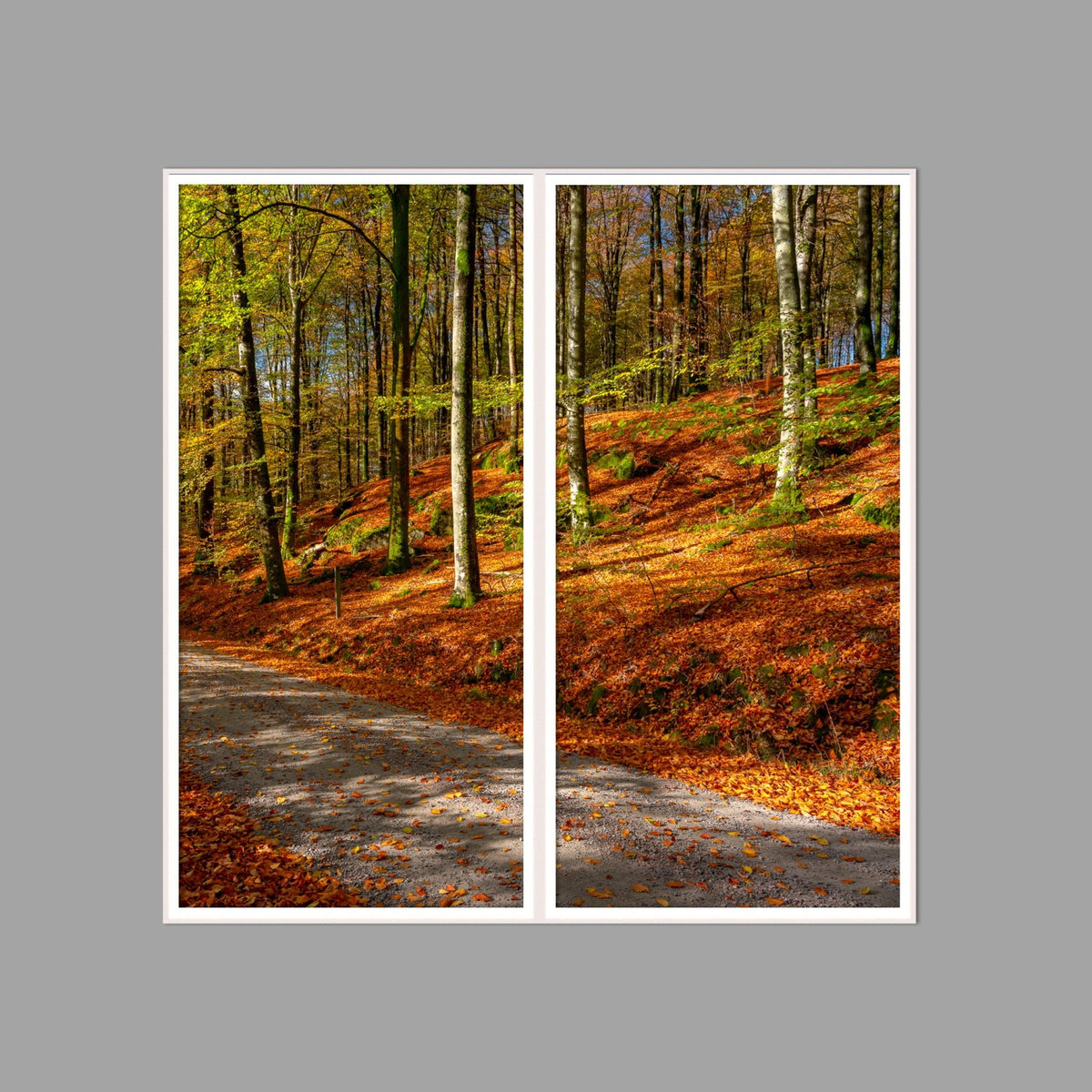 LED-Wandbild Zweiteiler hochkant 120x120 cm – Herbst