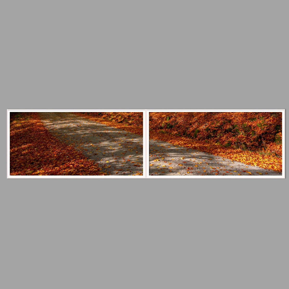 LED-Wandbild Zweiteiler quer 240x60 cm – Herbst