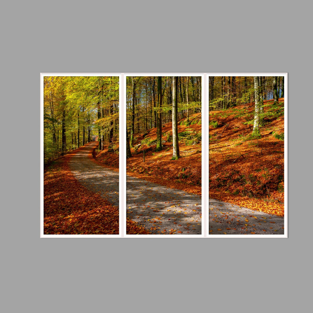 LED-Wandbild Dreiteiler hochkant 180x120 cm – Herbst