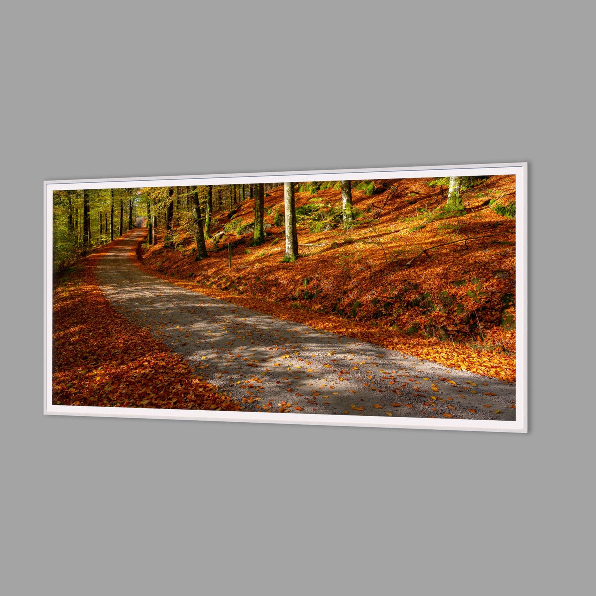 LED-Wandbild 60x120 cm quer – Herbst