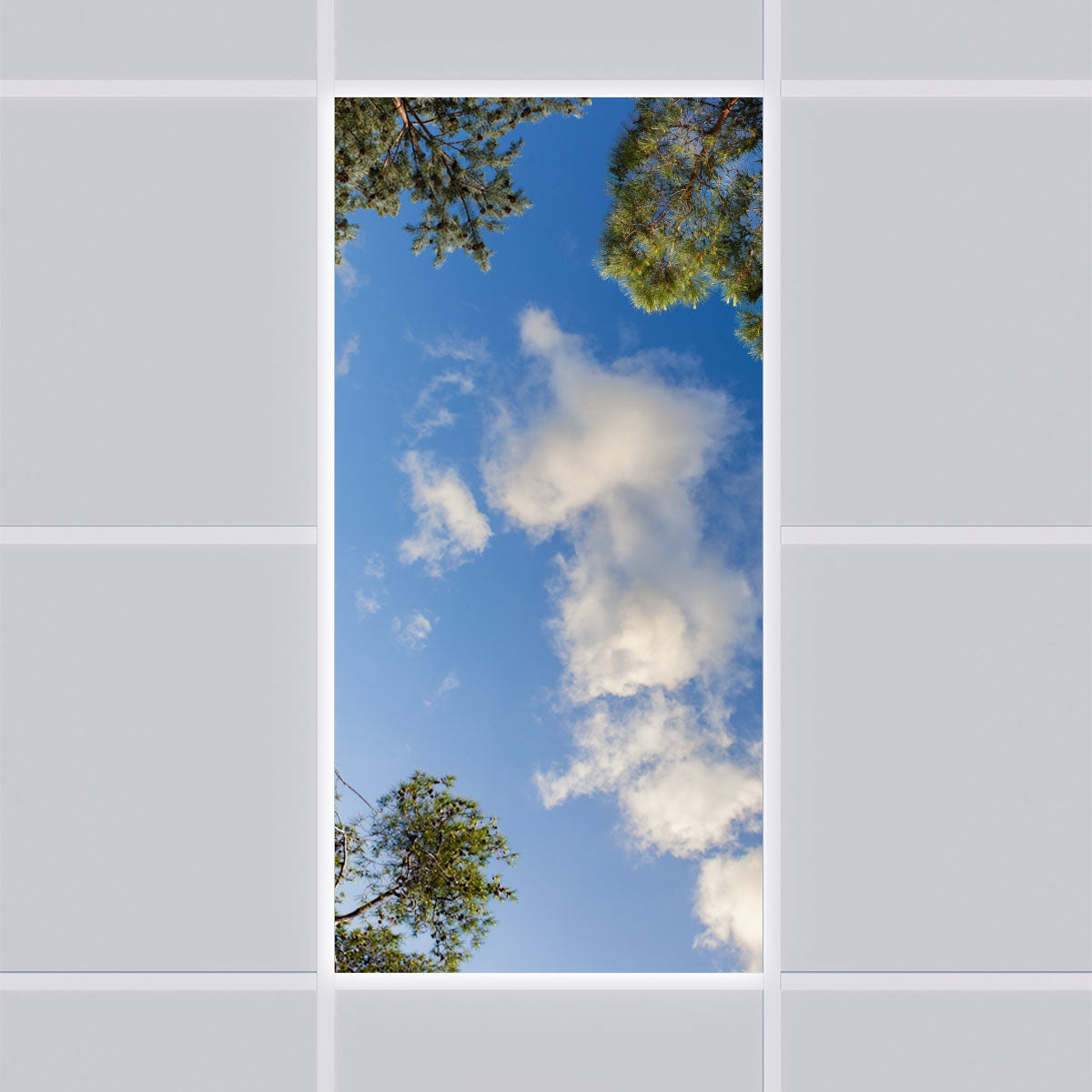 LED Deckenmotiv 60x120cm mit Aufbaurahmen