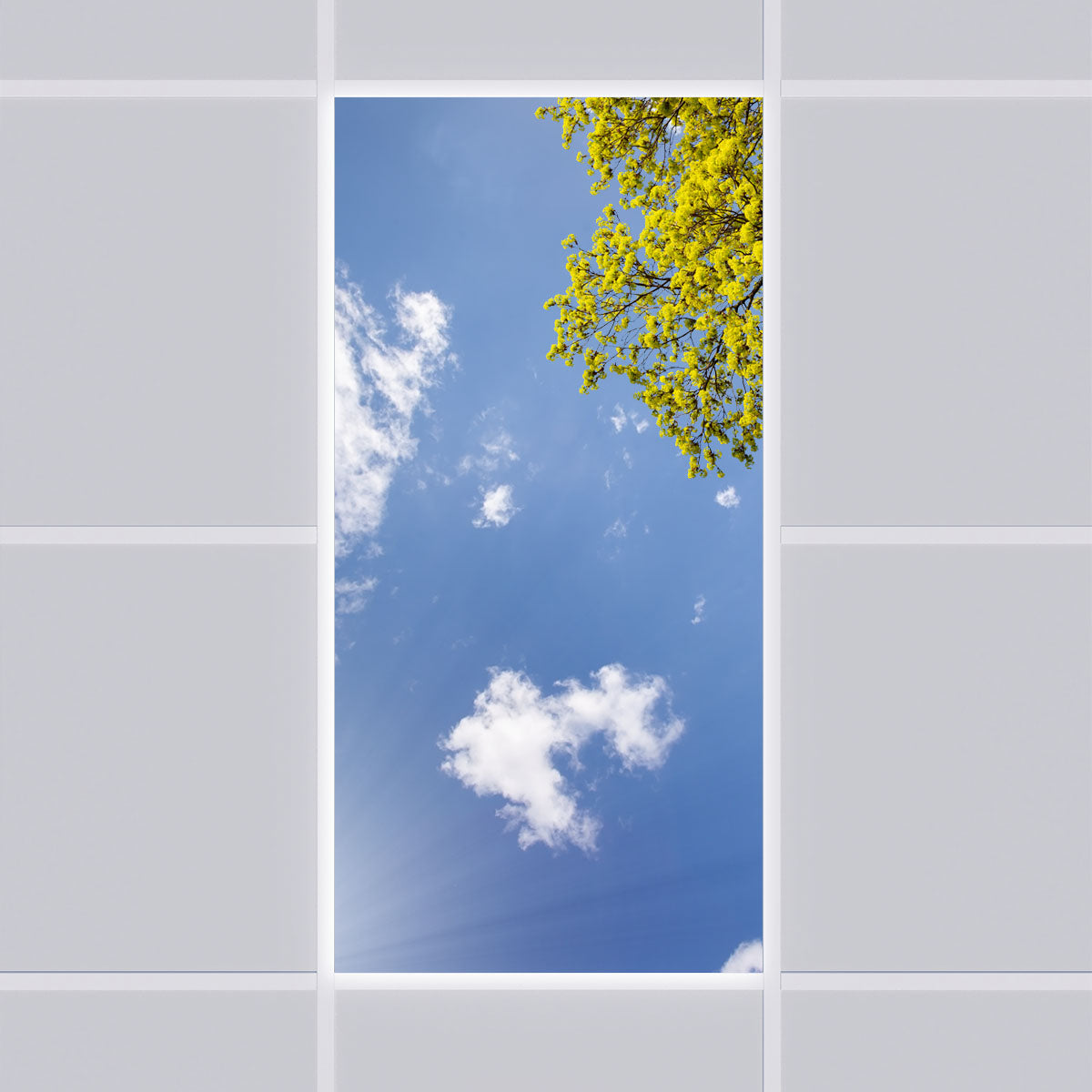 LED Deckenmotiv 60x120cm mit Aufbaurahmen