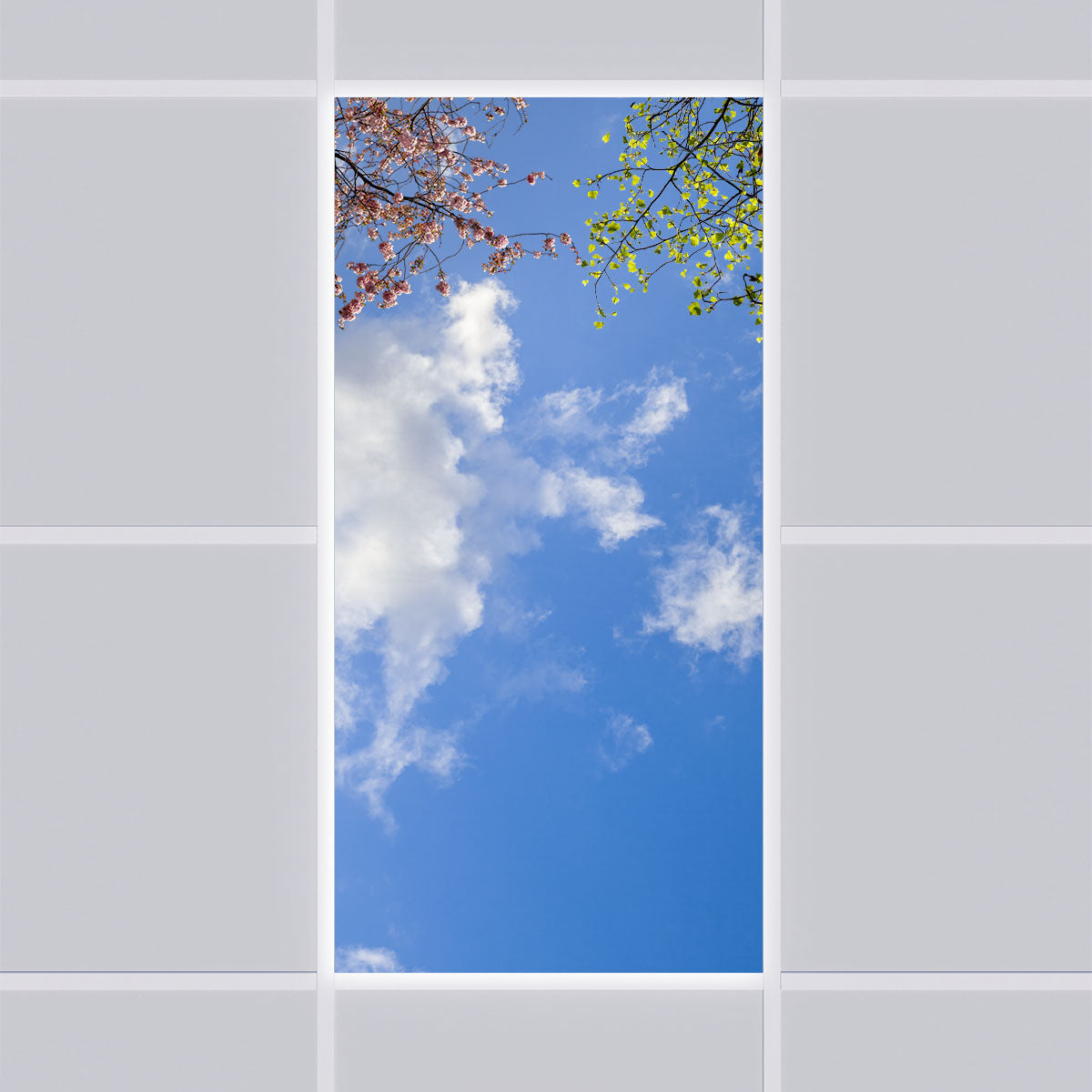 LED Deckenmotiv 60x120cm mit Aufbaurahmen