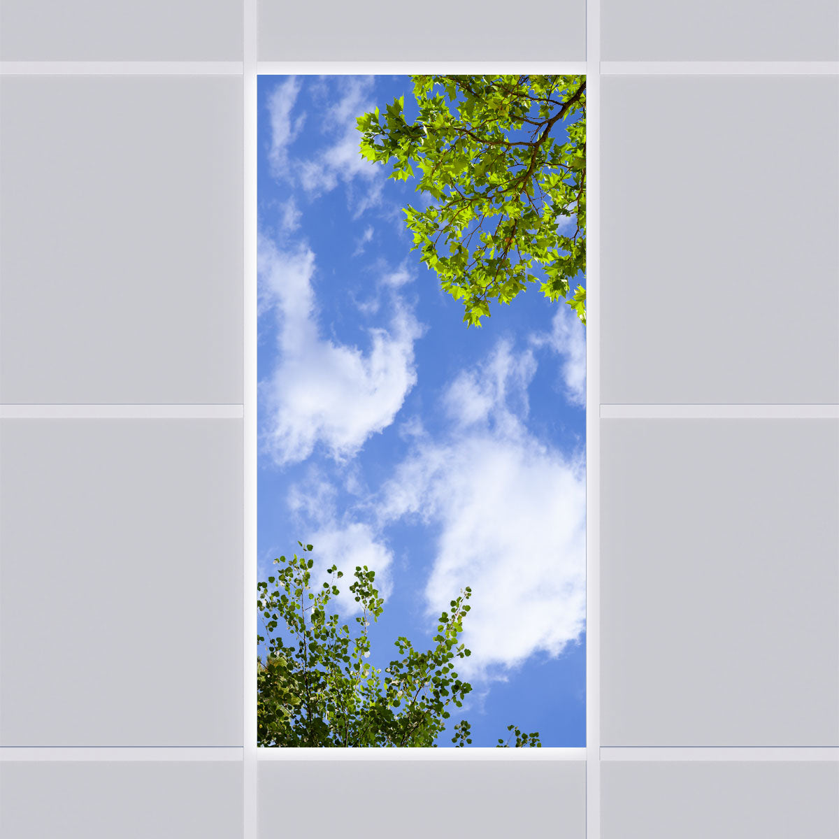 LED Deckenmotiv 60x120cm mit Aufbaurahmen