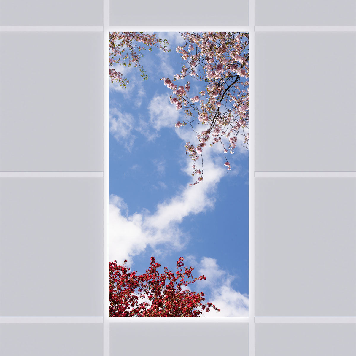 LED Deckenmotiv 60x120cm mit Aufbaurahmen