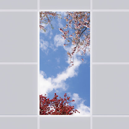 LED Deckenmotiv 60x120cm mit Aufbaurahmen