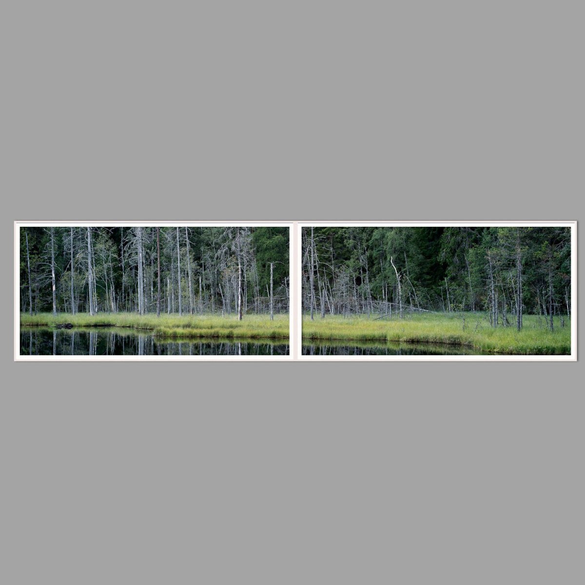 LED-Wandbild Zweiteiler quer 240x60 cm – Seen & Flüsse