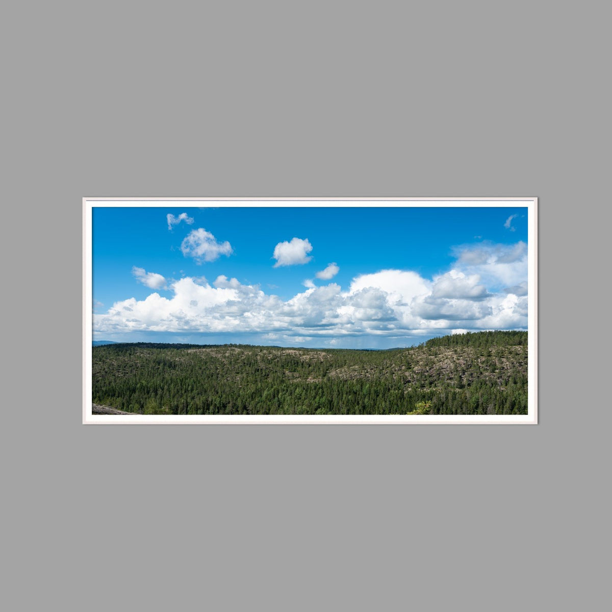 LED-Wandbild 60x120 cm quer – Wald