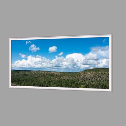 LED-Wandbild 60x120 cm quer – Wald