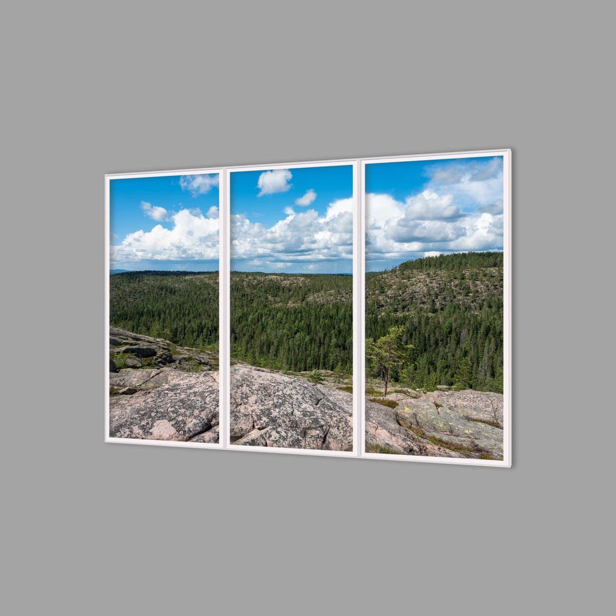 LED-Wandbild Dreiteiler hochkant 180x120 cm – Wald