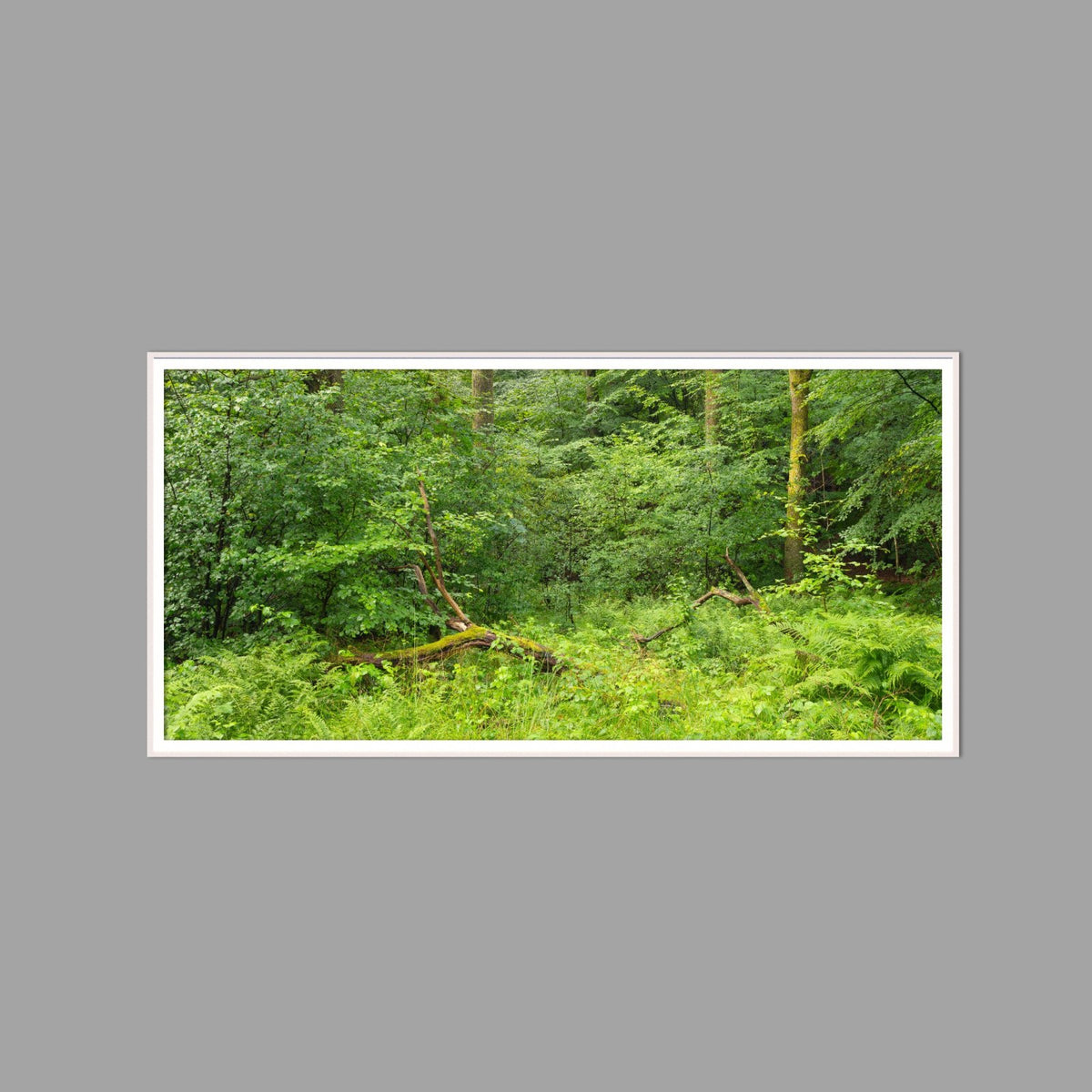 LED-Wandbild 60x120 cm quer – Wald