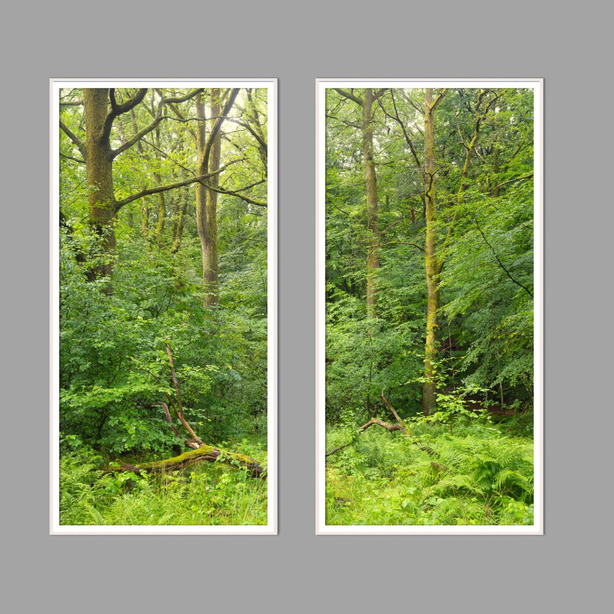 LED-Wandbild Zweiteiler hochkant mit Abstand – Wald