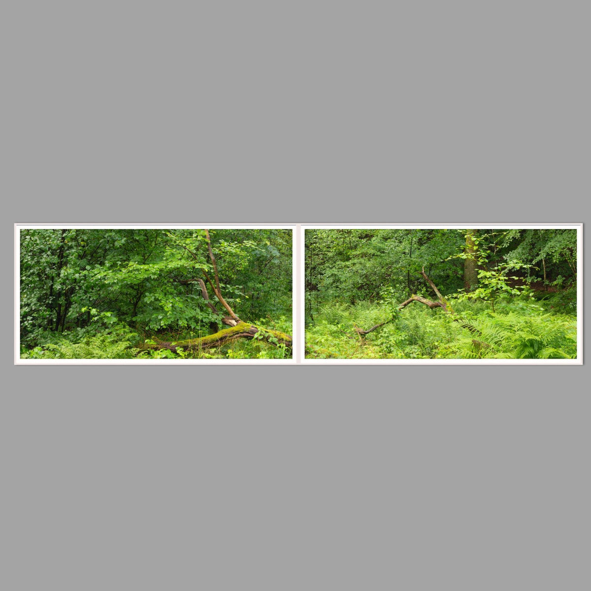 LED-Wandbild Zweiteiler quer 240x60 cm – Wald