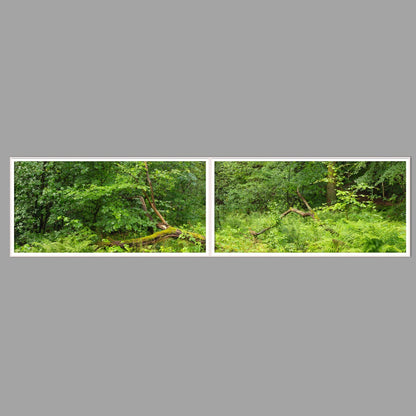 LED-Wandbild Zweiteiler quer 240x60 cm – Wald