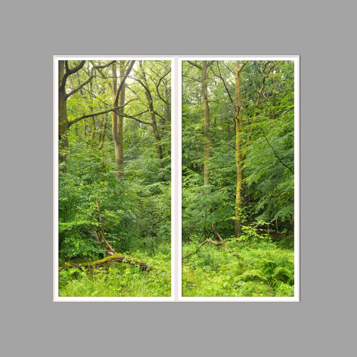 LED-Wandbild Zweiteiler hochkant 120x120 cm – Wald