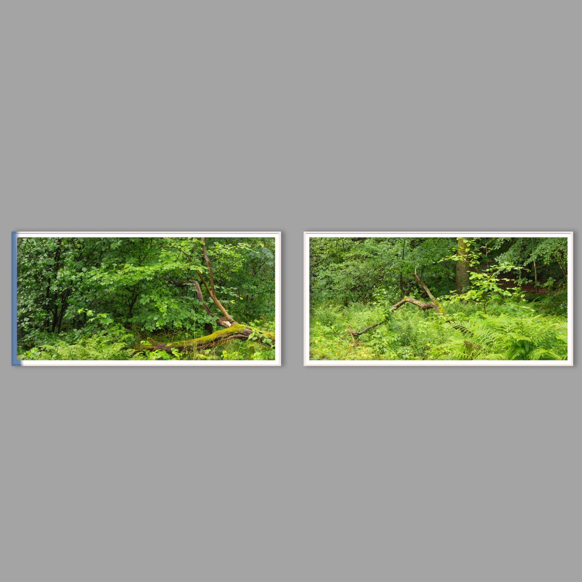LED-Wandbild Zweiteiler quer mit Abstand – Wald