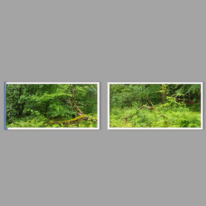 LED-Wandbild Zweiteiler quer mit Abstand – Wald