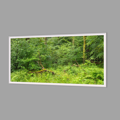 LED-Wandbild 60x120 cm quer – Wald
