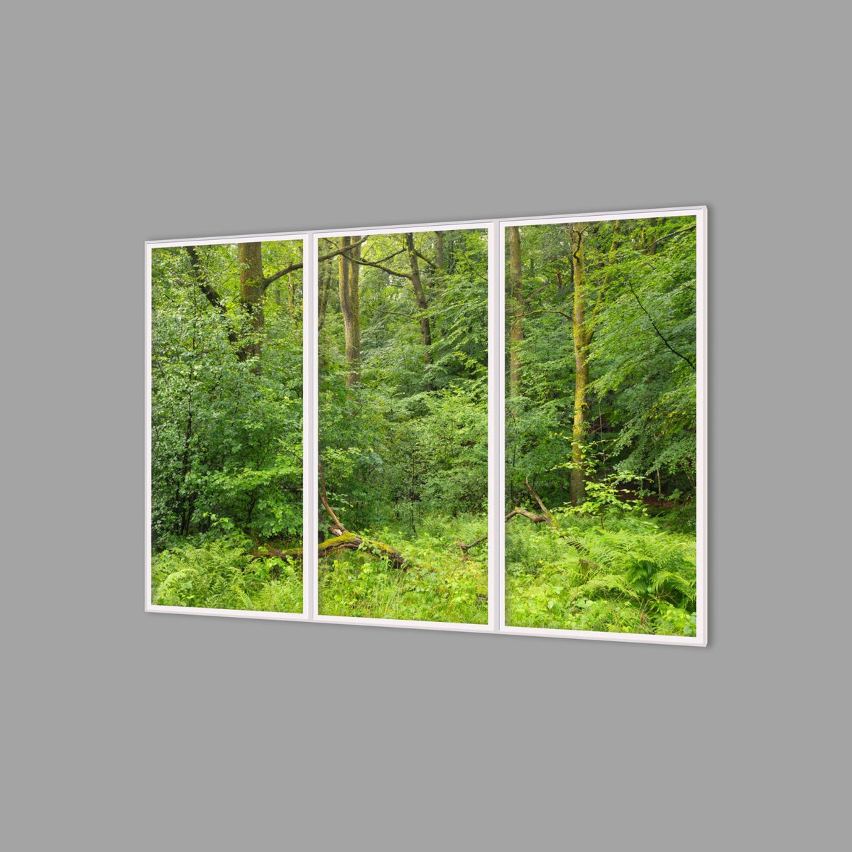 LED-Wandbild Dreiteiler hochkant 180x120 cm – Wald