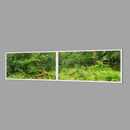 LED-Wandbild Zweiteiler quer 240x60 cm – Wald