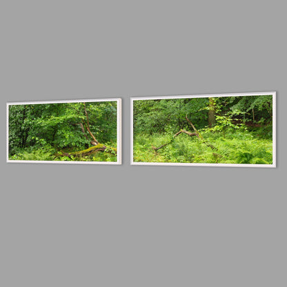 LED-Wandbild Zweiteiler quer mit Abstand – Wald