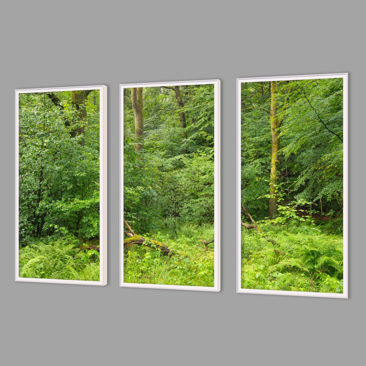 LED-Wandbild Dreiteiler hochkant mit Abstand – Wald