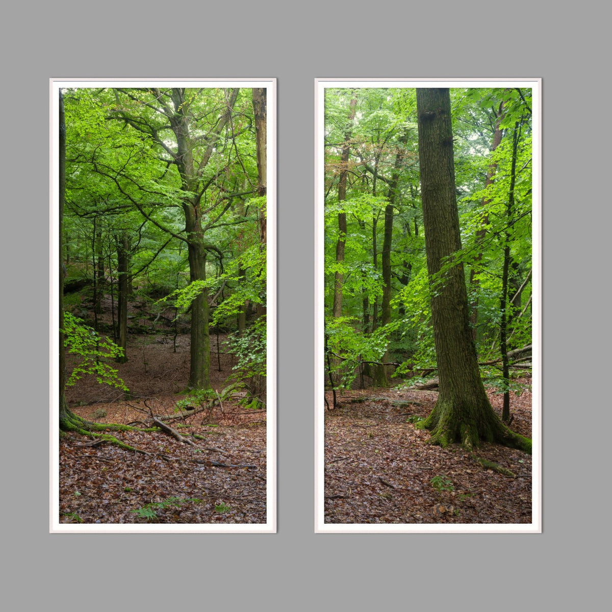 LED-Wandbild Zweiteiler hochkant mit Abstand – Wald