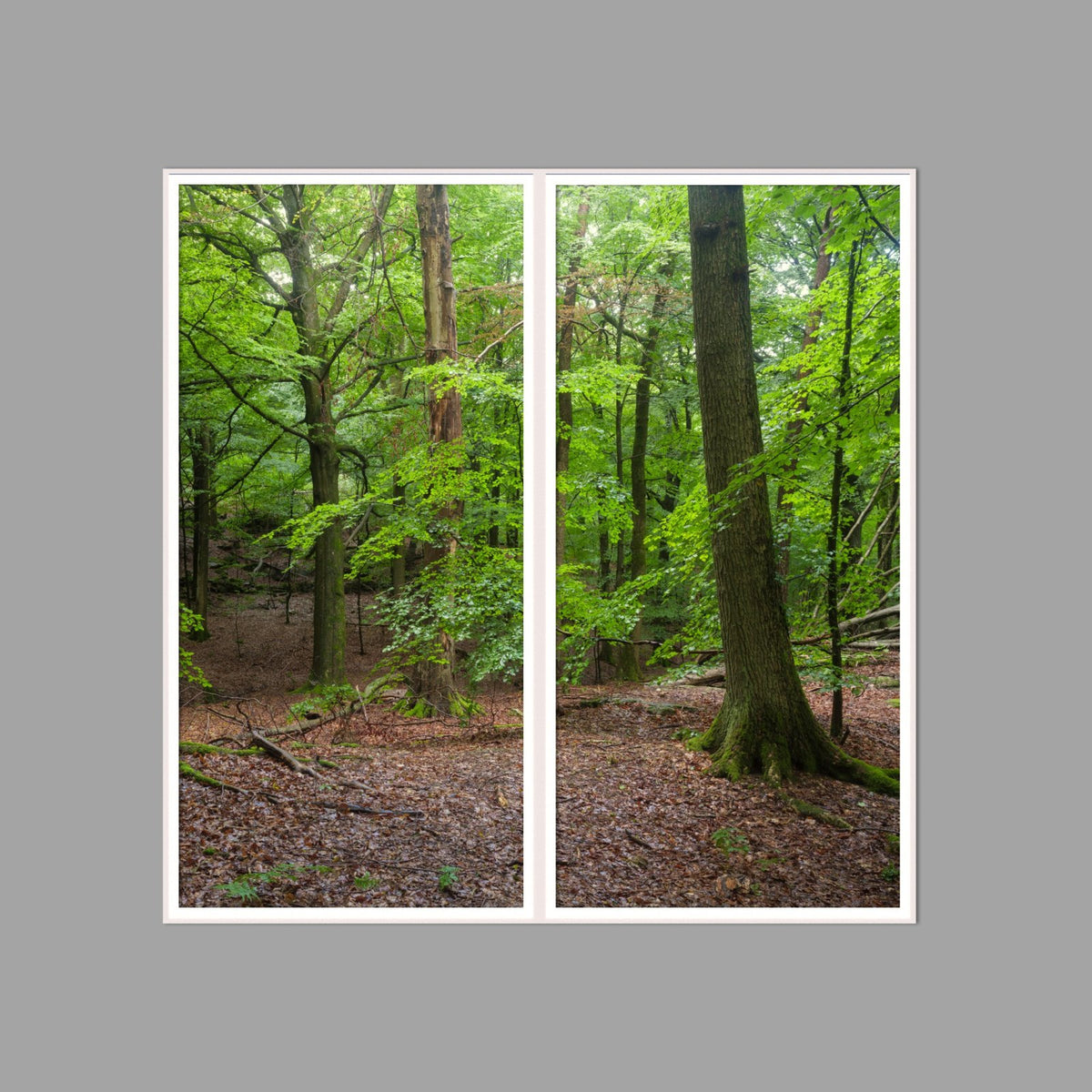 LED-Wandbild Zweiteiler hochkant 120x120 cm – Wald