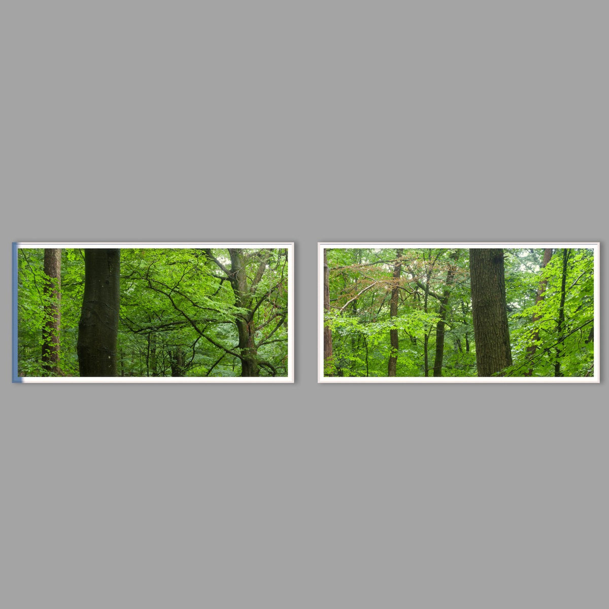 LED-Wandbild Zweiteiler quer mit Abstand – Wald