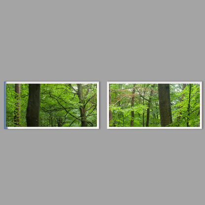 LED-Wandbild Zweiteiler quer mit Abstand – Wald