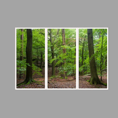 LED-Wandbild Dreiteiler hochkant 180x120 cm – Wald