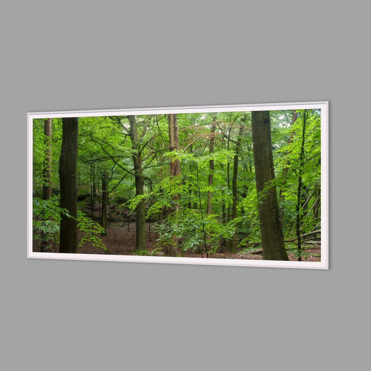 LED-Wandbild 60x120 cm quer – Wald