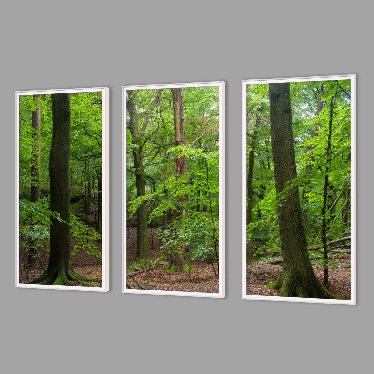 LED-Wandbild Dreiteiler hochkant mit Abstand – Wald