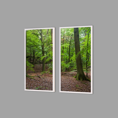 LED-Wandbild Zweiteiler hochkant mit Abstand – Wald