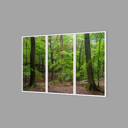 LED-Wandbild Dreiteiler hochkant 180x120 cm – Wald