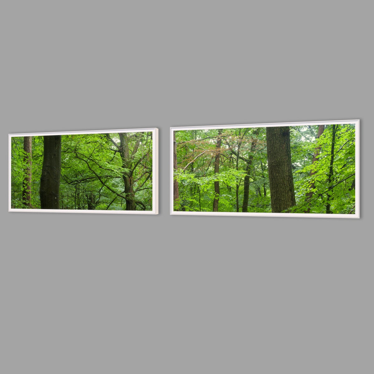 LED-Wandbild Zweiteiler quer mit Abstand – Wald