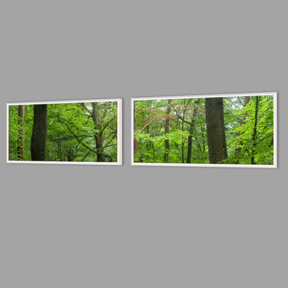 LED-Wandbild Zweiteiler quer mit Abstand – Wald
