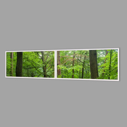 LED-Wandbild Zweiteiler quer 240x60 cm – Wald