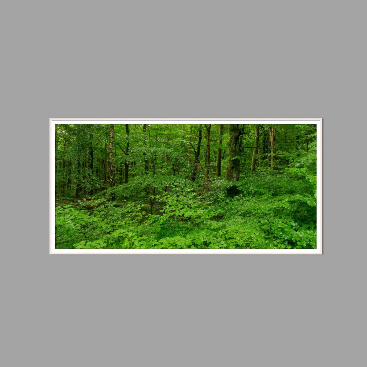 LED-Wandbild 60x120 cm quer – Wald